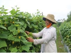 Trà Vinh Province’s poverty alleviation measures yield solid results