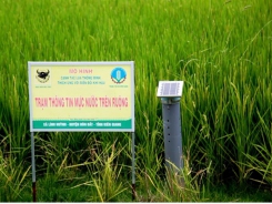 Mekong Delta farmers expand smart rice farming