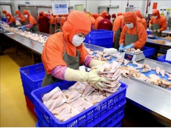 Russia to import Việt Nam’s processed chicken