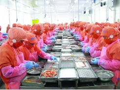Shrimp exports over US$4 billion is 