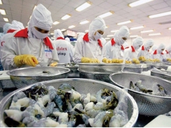 China increases imports of Vietnamese seafood