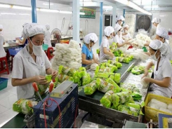 Australia increases imports of Vietnamese processed fruit, vegetables