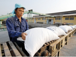 Vietnamese rice records new price peak