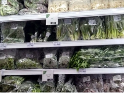 Netherlands keen on Vietnamese agricultural products