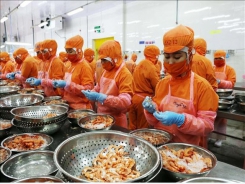 China to increase increase imports of Vietnamese seafood products