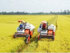 Vietnam’s agriculture expects a bumper harvest in 2021