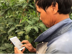 Digital transformation – future of Vietnam’s agriculture