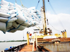 Bangladesh to import 50,000 tons of rice from Vietnam