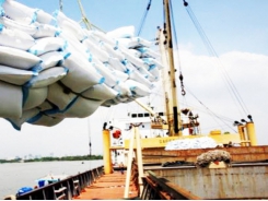 Bangladesh to import 50,000 tons of rice from Vietnam