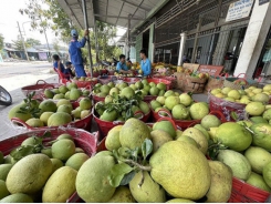 How to make a breakthrough for Mekong Delta’s agricultural products?