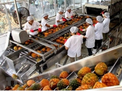 Fruit and vegetable exports see many positive signs in 2021