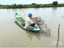 Mô hình tôm - cua - cá - sò huyết mang lại hiệu quả cao