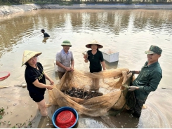 Nuôi tôm càng xanh toàn đực dễ nuôi, lãi lớn