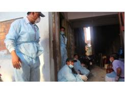 Thành Phố Hồ Chí Minh Tập Huấn Về Phòng Dịch Cúm Trên Chim Yến