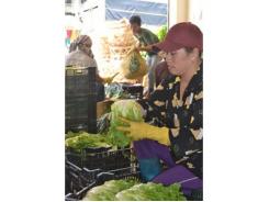 Rau Đà Lạt Sang Xứ Sở Kim Chi
