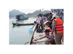 Thả 35.000 Con Cá Giống Tái Tạo Nguồn Lợi Thuỷ Sản Tại Hồ Thủy Điện Hoà Bình