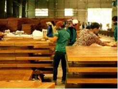 Chế biến gỗ Bình Định gặp khó