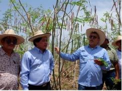 Việt Nam-Venezuela-Cuba tăng cường hợp tác nông nghiệp