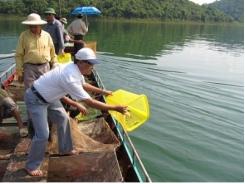 Hợp tác bảo tồn và phát triển nguồn lợi thủy sản