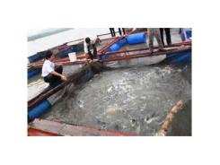Khuyến khích phát triển nuôi cá lồng vùng hồ Thủy điện Hòa Bình