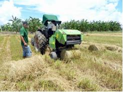 Hướng đến nền sản xuất lúa thân thiện môi trường