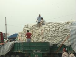 Xuất khẩu gạo sang châu Phi sẽ phục hồi trong năm 2015