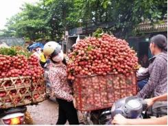 Cam kết tháo gỡ xuất khẩu rau quả