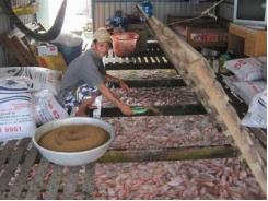 Đưa cá rô phi thành mặt hàng thủy sản xuất khẩu chủ lực