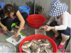 Người dân ngại ăn, giá hải sản giảm