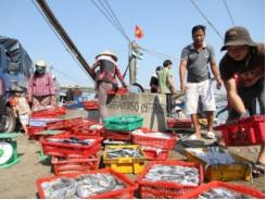 Quảng Trị đề xuất tạm dừng khai thác thủy sản ven bờ