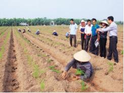 Nông dân hiến kế xây dựng nông thôn mới