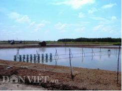 Cà Mau công bố thiên tai cấp độ 2 với thủy sản nuôi trồng