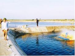 Đầu tư gì vào nông nghiệp Quảng Ninh?