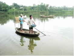 Phú Thọ hướng đi mới để phát triển thủy sản