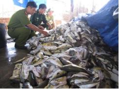 Buộc tiêu hủy hải sản không an toàn
