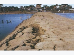 Erosion, Sedimentation in Earthen Aquaculture Ponds
