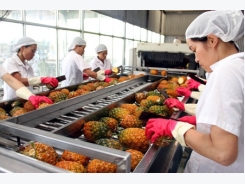 Vietnam fruit exports have to meet high standards in foreign markets