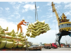Hopeful first quarter results for rice exporters