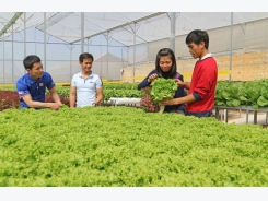 Hà Nội hi-tech farm expansion remains slow