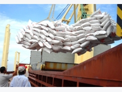 CIEM suggests amending Decree 109 on rice export