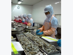 VN shrimp brand: difficult, but not too late