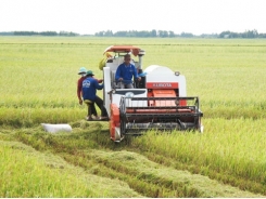 IFC assists Vietnam with sustainable agricultural production