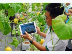 Nutifood invests in Dak Lak hi-tech agriculture