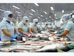 Spanish press informed about Vietnam’s tra fish products