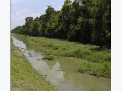 Characterization and Management of Effluents from Aquaculture Ponds in the Southeastern US