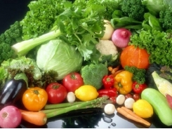 Vegetables exports bring in $8.2 million per day