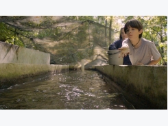 A motive, and a market, for farmed fish in Mexico