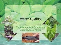 Water Quality in Aquaculture
