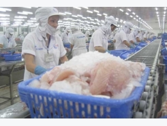 China emerges as biggest importer of Vietnam tra fish
