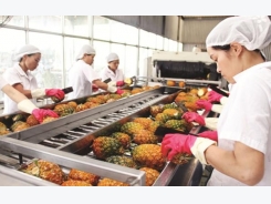 Opportunity to expand the market for Vietnamese vegetables and fruits